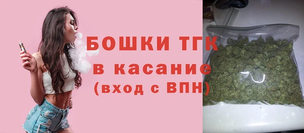 тгк Бронницы