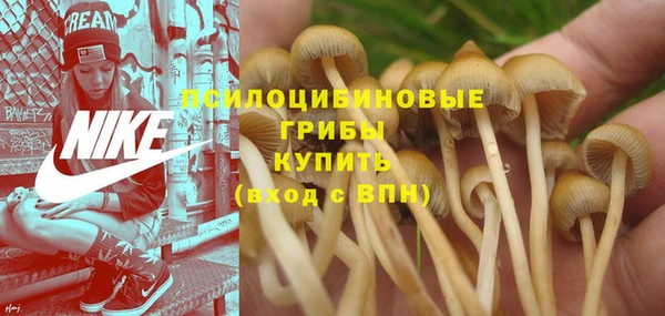 МДМА Бородино