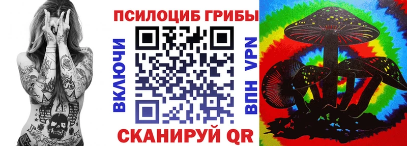 Псилоцибиновые грибы GOLDEN TEACHER  маркетплейс какой сайт  Грязовец 